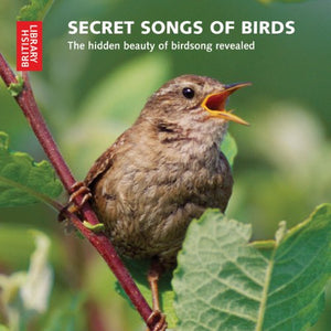 Secret Songs of Birds 