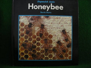 Honeybee 