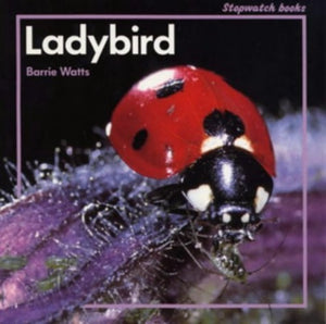 Ladybird 