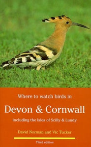 Where to Watch Birds in Devon and Cornwall 