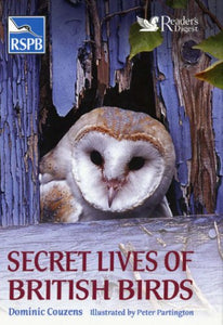 Secret Lives of British Birds 