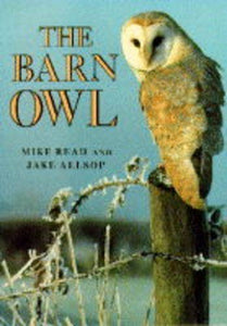 The Barn Owl 