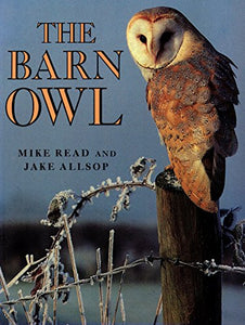 The Barn Owl 