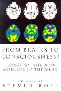 From Brains to Consciousness? 