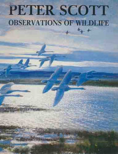 Observations of Wild Life 