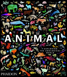 Animal 