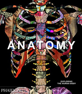 Anatomy 