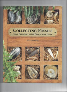 Collecting Fossils 