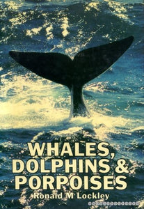 Whales, Dolphins and Porpoises 