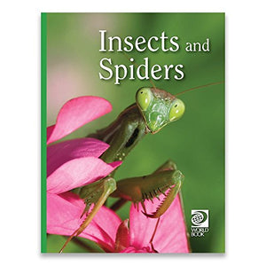 Insects and Spiders 