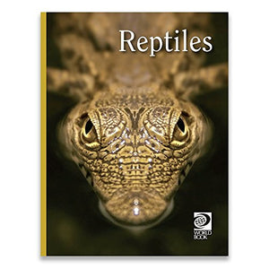 Reptiles 