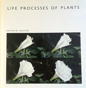 Life Processes of Plants 