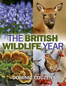 The British Wildlife Year 