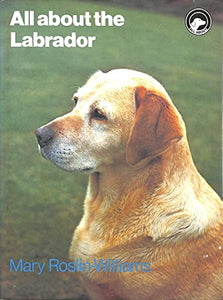 All About the Labrador 