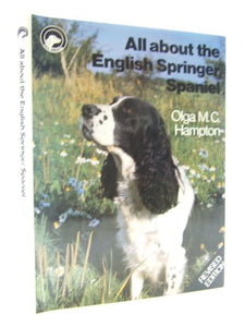 All About the English Springer Spaniel 