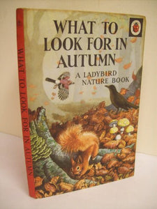 What to Look for in Autumn 