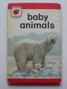 Baby Animals 