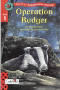 Operation Badger 