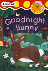 Goodnight Bunny 