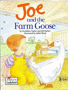 Joe and the Farm Goose 