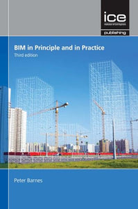 BIM in Principle and in Practice 