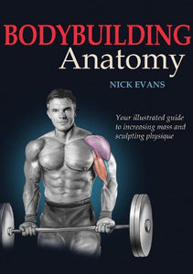 Bodybuilding Anatomy 