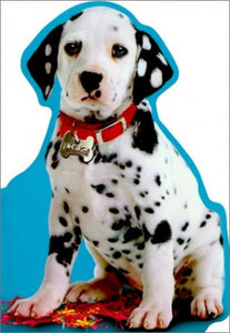 102 Dalmatians Take Me Home! 