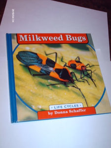 Milkweed Bugs 