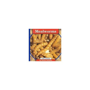 Mealworms 