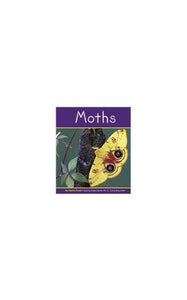 Moths 