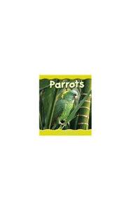 Parrots 