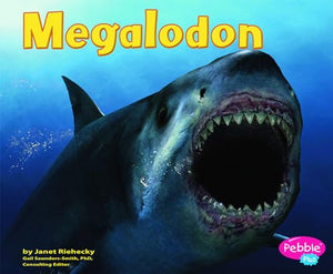 Megalodon 