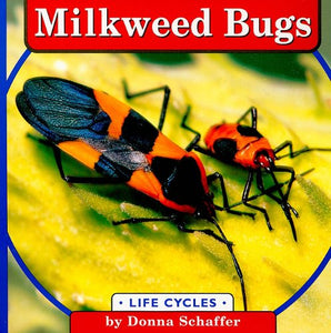 Milkweed Bugs 