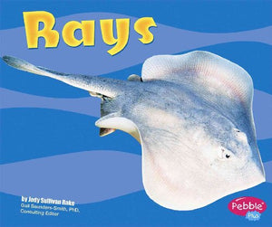 Rays 