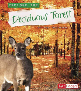 Explore the Deciduous Forest 