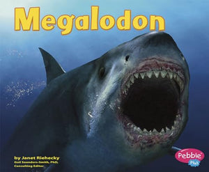 Megalodon (Dinosaurs and Prehistoric Animals) 