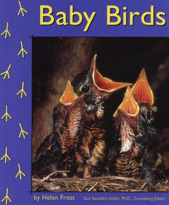 Baby Birds 