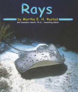 Rays 