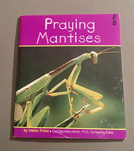 Praying Mantises 