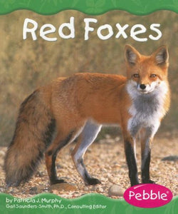 Red Foxes 