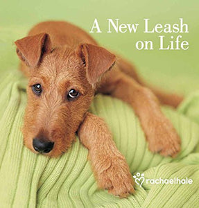 A New Leash on Life 