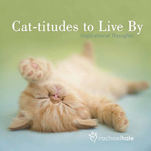 Cat-titudes to Live By 