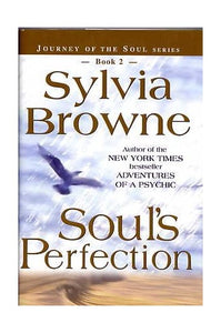 Souls Perfection Journey of the Soul Series Book 