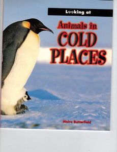 Animals in Cold Places 