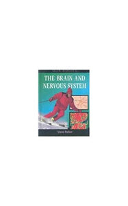 The Brain and Nervous System 