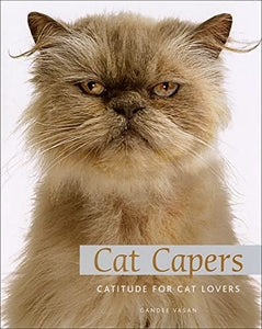 Cat Capers 