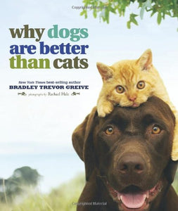 Why Dogs Are Better Than Cats 