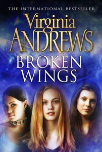 Broken Wings 