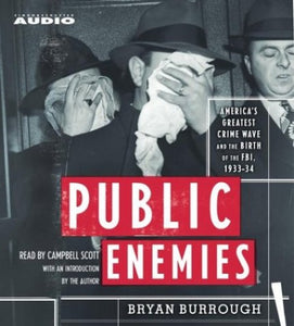 Public Enemies 