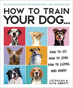 How to Train Your Dog 